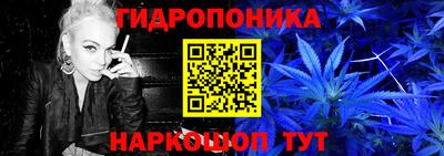 шишки Краснодар